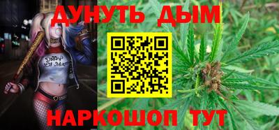 сатива Кунгур