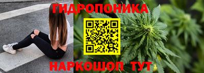 сатива Кунгур