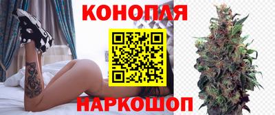 сатива Кунгур