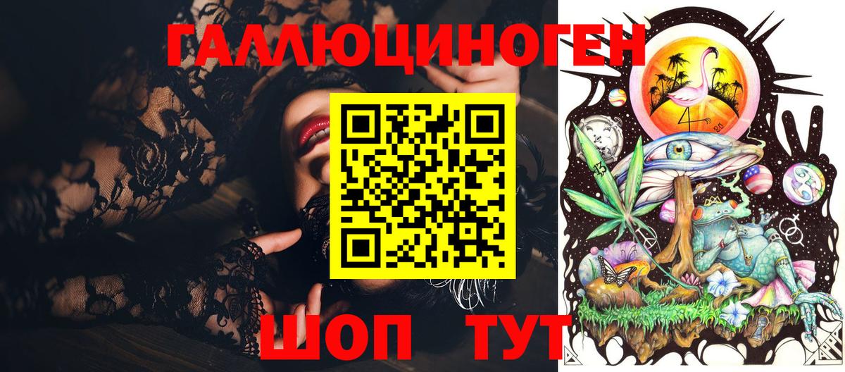 Псилоцибиновые грибы Psilocybine cubensis Каменка
