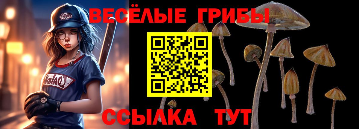 Галлюциногенные грибы Magic Shrooms  Псилоцибиновые грибы мицелий  Каменка  Вход с VPN 